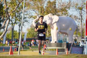 BIB: 
                            <button type="button" onclick="openModal(26188288)" class="btn btn-primary btn-sm float-right btn-popup" data-toggle="modal" data-target=".modal-high-quality">
                        <i class="fas fa-shopping-cart"></i> Add to Cart
                    </button>
                                            <button type="button" onclick="isThisMe(26188288, true)" class="btn btn-success btn-sm float-right btn-popup btn-isme hidden" data-toggle="tooltip" data-placement="bottom" title="นี่คือรูปของคุณใช่ไหม คลิกที่นี่เพื่อเอาเข้าอัลบั้ม">
                        <i class="fas fa-plus"></i> Add to album
                    </button>
                    <button type="button" onclick="isThisMe(26188288, false)" class="btn btn-warning btn-sm float-right btn-popup btn-isnotme hidden">
                        <i class="fas fa-ban"></i> Remove from album
                    </button>