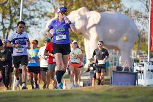 BIB: 
                            <button type="button" onclick="openModal(26188488)" class="btn btn-primary btn-sm float-right btn-popup" data-toggle="modal" data-target=".modal-high-quality">
                        <i class="fas fa-shopping-cart"></i> Add to Cart
                    </button>
                                            <button type="button" onclick="isThisMe(26188488, true)" class="btn btn-success btn-sm float-right btn-popup btn-isme hidden" data-toggle="tooltip" data-placement="bottom" title="นี่คือรูปของคุณใช่ไหม คลิกที่นี่เพื่อเอาเข้าอัลบั้ม">
                        <i class="fas fa-plus"></i> Add to album
                    </button>
                    <button type="button" onclick="isThisMe(26188488, false)" class="btn btn-warning btn-sm float-right btn-popup btn-isnotme hidden">
                        <i class="fas fa-ban"></i> Remove from album
                    </button>