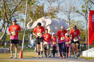 BIB: 
                            <button type="button" onclick="openModal(26187955)" class="btn btn-primary btn-sm float-right btn-popup" data-toggle="modal" data-target=".modal-high-quality">
                        <i class="fas fa-shopping-cart"></i> Add to Cart
                    </button>
                                            <button type="button" onclick="isThisMe(26187955, true)" class="btn btn-success btn-sm float-right btn-popup btn-isme hidden" data-toggle="tooltip" data-placement="bottom" title="นี่คือรูปของคุณใช่ไหม คลิกที่นี่เพื่อเอาเข้าอัลบั้ม">
                        <i class="fas fa-plus"></i> Add to album
                    </button>
                    <button type="button" onclick="isThisMe(26187955, false)" class="btn btn-warning btn-sm float-right btn-popup btn-isnotme hidden">
                        <i class="fas fa-ban"></i> Remove from album
                    </button>