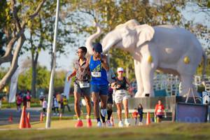 BIB: 
                            <button type="button" onclick="openModal(26188294)" class="btn btn-primary btn-sm float-right btn-popup" data-toggle="modal" data-target=".modal-high-quality">
                        <i class="fas fa-shopping-cart"></i> Add to Cart
                    </button>
                                            <button type="button" onclick="isThisMe(26188294, true)" class="btn btn-success btn-sm float-right btn-popup btn-isme hidden" data-toggle="tooltip" data-placement="bottom" title="นี่คือรูปของคุณใช่ไหม คลิกที่นี่เพื่อเอาเข้าอัลบั้ม">
                        <i class="fas fa-plus"></i> Add to album
                    </button>
                    <button type="button" onclick="isThisMe(26188294, false)" class="btn btn-warning btn-sm float-right btn-popup btn-isnotme hidden">
                        <i class="fas fa-ban"></i> Remove from album
                    </button>