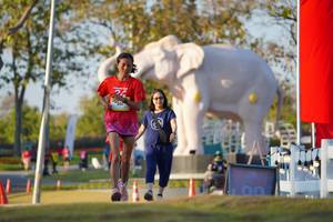 BIB: 
                            <button type="button" onclick="openModal(26188432)" class="btn btn-primary btn-sm float-right btn-popup" data-toggle="modal" data-target=".modal-high-quality">
                        <i class="fas fa-shopping-cart"></i> Add to Cart
                    </button>
                                            <button type="button" onclick="isThisMe(26188432, true)" class="btn btn-success btn-sm float-right btn-popup btn-isme hidden" data-toggle="tooltip" data-placement="bottom" title="นี่คือรูปของคุณใช่ไหม คลิกที่นี่เพื่อเอาเข้าอัลบั้ม">
                        <i class="fas fa-plus"></i> Add to album
                    </button>
                    <button type="button" onclick="isThisMe(26188432, false)" class="btn btn-warning btn-sm float-right btn-popup btn-isnotme hidden">
                        <i class="fas fa-ban"></i> Remove from album
                    </button>