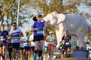 BIB: 
                            <button type="button" onclick="openModal(26188486)" class="btn btn-primary btn-sm float-right btn-popup" data-toggle="modal" data-target=".modal-high-quality">
                        <i class="fas fa-shopping-cart"></i> Add to Cart
                    </button>
                                            <button type="button" onclick="isThisMe(26188486, true)" class="btn btn-success btn-sm float-right btn-popup btn-isme hidden" data-toggle="tooltip" data-placement="bottom" title="นี่คือรูปของคุณใช่ไหม คลิกที่นี่เพื่อเอาเข้าอัลบั้ม">
                        <i class="fas fa-plus"></i> Add to album
                    </button>
                    <button type="button" onclick="isThisMe(26188486, false)" class="btn btn-warning btn-sm float-right btn-popup btn-isnotme hidden">
                        <i class="fas fa-ban"></i> Remove from album
                    </button>