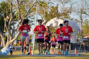 BIB: 
                            <button type="button" onclick="openModal(26189321)" class="btn btn-primary btn-sm float-right btn-popup" data-toggle="modal" data-target=".modal-high-quality">
                        <i class="fas fa-shopping-cart"></i> Add to Cart
                    </button>
                                            <button type="button" onclick="isThisMe(26189321, true)" class="btn btn-success btn-sm float-right btn-popup btn-isme hidden" data-toggle="tooltip" data-placement="bottom" title="นี่คือรูปของคุณใช่ไหม คลิกที่นี่เพื่อเอาเข้าอัลบั้ม">
                        <i class="fas fa-plus"></i> Add to album
                    </button>
                    <button type="button" onclick="isThisMe(26189321, false)" class="btn btn-warning btn-sm float-right btn-popup btn-isnotme hidden">
                        <i class="fas fa-ban"></i> Remove from album
                    </button>