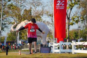 BIB: 
                            <button type="button" onclick="openModal(26188164)" class="btn btn-primary btn-sm float-right btn-popup" data-toggle="modal" data-target=".modal-high-quality">
                        <i class="fas fa-shopping-cart"></i> Add to Cart
                    </button>
                                            <button type="button" onclick="isThisMe(26188164, true)" class="btn btn-success btn-sm float-right btn-popup btn-isme hidden" data-toggle="tooltip" data-placement="bottom" title="นี่คือรูปของคุณใช่ไหม คลิกที่นี่เพื่อเอาเข้าอัลบั้ม">
                        <i class="fas fa-plus"></i> Add to album
                    </button>
                    <button type="button" onclick="isThisMe(26188164, false)" class="btn btn-warning btn-sm float-right btn-popup btn-isnotme hidden">
                        <i class="fas fa-ban"></i> Remove from album
                    </button>