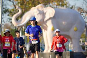 BIB: 
                            <button type="button" onclick="openModal(26189234)" class="btn btn-primary btn-sm float-right btn-popup" data-toggle="modal" data-target=".modal-high-quality">
                        <i class="fas fa-shopping-cart"></i> Add to Cart
                    </button>
                                            <button type="button" onclick="isThisMe(26189234, true)" class="btn btn-success btn-sm float-right btn-popup btn-isme hidden" data-toggle="tooltip" data-placement="bottom" title="นี่คือรูปของคุณใช่ไหม คลิกที่นี่เพื่อเอาเข้าอัลบั้ม">
                        <i class="fas fa-plus"></i> Add to album
                    </button>
                    <button type="button" onclick="isThisMe(26189234, false)" class="btn btn-warning btn-sm float-right btn-popup btn-isnotme hidden">
                        <i class="fas fa-ban"></i> Remove from album
                    </button>