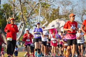 BIB: 
                            <button type="button" onclick="openModal(26187639)" class="btn btn-primary btn-sm float-right btn-popup" data-toggle="modal" data-target=".modal-high-quality">
                        <i class="fas fa-shopping-cart"></i> Add to Cart
                    </button>
                                            <button type="button" onclick="isThisMe(26187639, true)" class="btn btn-success btn-sm float-right btn-popup btn-isme hidden" data-toggle="tooltip" data-placement="bottom" title="นี่คือรูปของคุณใช่ไหม คลิกที่นี่เพื่อเอาเข้าอัลบั้ม">
                        <i class="fas fa-plus"></i> Add to album
                    </button>
                    <button type="button" onclick="isThisMe(26187639, false)" class="btn btn-warning btn-sm float-right btn-popup btn-isnotme hidden">
                        <i class="fas fa-ban"></i> Remove from album
                    </button>