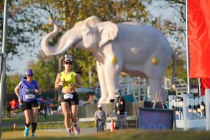 BIB: 
                            <button type="button" onclick="openModal(26188468)" class="btn btn-primary btn-sm float-right btn-popup" data-toggle="modal" data-target=".modal-high-quality">
                        <i class="fas fa-shopping-cart"></i> Add to Cart
                    </button>
                                            <button type="button" onclick="isThisMe(26188468, true)" class="btn btn-success btn-sm float-right btn-popup btn-isme hidden" data-toggle="tooltip" data-placement="bottom" title="นี่คือรูปของคุณใช่ไหม คลิกที่นี่เพื่อเอาเข้าอัลบั้ม">
                        <i class="fas fa-plus"></i> Add to album
                    </button>
                    <button type="button" onclick="isThisMe(26188468, false)" class="btn btn-warning btn-sm float-right btn-popup btn-isnotme hidden">
                        <i class="fas fa-ban"></i> Remove from album
                    </button>