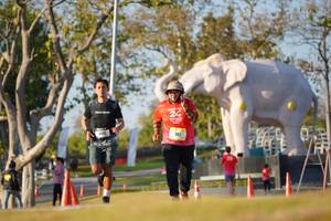 BIB: 
                            <button type="button" onclick="openModal(26188058)" class="btn btn-primary btn-sm float-right btn-popup" data-toggle="modal" data-target=".modal-high-quality">
                        <i class="fas fa-shopping-cart"></i> Add to Cart
                    </button>
                                            <button type="button" onclick="isThisMe(26188058, true)" class="btn btn-success btn-sm float-right btn-popup btn-isme hidden" data-toggle="tooltip" data-placement="bottom" title="นี่คือรูปของคุณใช่ไหม คลิกที่นี่เพื่อเอาเข้าอัลบั้ม">
                        <i class="fas fa-plus"></i> Add to album
                    </button>
                    <button type="button" onclick="isThisMe(26188058, false)" class="btn btn-warning btn-sm float-right btn-popup btn-isnotme hidden">
                        <i class="fas fa-ban"></i> Remove from album
                    </button>