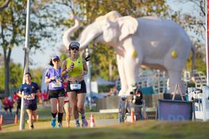 BIB: 
                            <button type="button" onclick="openModal(26188472)" class="btn btn-primary btn-sm float-right btn-popup" data-toggle="modal" data-target=".modal-high-quality">
                        <i class="fas fa-shopping-cart"></i> Add to Cart
                    </button>
                                            <button type="button" onclick="isThisMe(26188472, true)" class="btn btn-success btn-sm float-right btn-popup btn-isme hidden" data-toggle="tooltip" data-placement="bottom" title="นี่คือรูปของคุณใช่ไหม คลิกที่นี่เพื่อเอาเข้าอัลบั้ม">
                        <i class="fas fa-plus"></i> Add to album
                    </button>
                    <button type="button" onclick="isThisMe(26188472, false)" class="btn btn-warning btn-sm float-right btn-popup btn-isnotme hidden">
                        <i class="fas fa-ban"></i> Remove from album
                    </button>