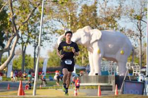 BIB: 
                            <button type="button" onclick="openModal(26188287)" class="btn btn-primary btn-sm float-right btn-popup" data-toggle="modal" data-target=".modal-high-quality">
                        <i class="fas fa-shopping-cart"></i> Add to Cart
                    </button>
                                            <button type="button" onclick="isThisMe(26188287, true)" class="btn btn-success btn-sm float-right btn-popup btn-isme hidden" data-toggle="tooltip" data-placement="bottom" title="นี่คือรูปของคุณใช่ไหม คลิกที่นี่เพื่อเอาเข้าอัลบั้ม">
                        <i class="fas fa-plus"></i> Add to album
                    </button>
                    <button type="button" onclick="isThisMe(26188287, false)" class="btn btn-warning btn-sm float-right btn-popup btn-isnotme hidden">
                        <i class="fas fa-ban"></i> Remove from album
                    </button>