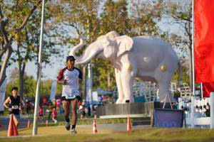 BIB: 
                            <button type="button" onclick="openModal(26188226)" class="btn btn-primary btn-sm float-right btn-popup" data-toggle="modal" data-target=".modal-high-quality">
                        <i class="fas fa-shopping-cart"></i> Add to Cart
                    </button>
                                            <button type="button" onclick="isThisMe(26188226, true)" class="btn btn-success btn-sm float-right btn-popup btn-isme hidden" data-toggle="tooltip" data-placement="bottom" title="นี่คือรูปของคุณใช่ไหม คลิกที่นี่เพื่อเอาเข้าอัลบั้ม">
                        <i class="fas fa-plus"></i> Add to album
                    </button>
                    <button type="button" onclick="isThisMe(26188226, false)" class="btn btn-warning btn-sm float-right btn-popup btn-isnotme hidden">
                        <i class="fas fa-ban"></i> Remove from album
                    </button>