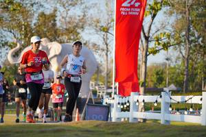 BIB: 
                            <button type="button" onclick="openModal(26188543)" class="btn btn-primary btn-sm float-right btn-popup" data-toggle="modal" data-target=".modal-high-quality">
                        <i class="fas fa-shopping-cart"></i> Add to Cart
                    </button>
                                            <button type="button" onclick="isThisMe(26188543, true)" class="btn btn-success btn-sm float-right btn-popup btn-isme hidden" data-toggle="tooltip" data-placement="bottom" title="นี่คือรูปของคุณใช่ไหม คลิกที่นี่เพื่อเอาเข้าอัลบั้ม">
                        <i class="fas fa-plus"></i> Add to album
                    </button>
                    <button type="button" onclick="isThisMe(26188543, false)" class="btn btn-warning btn-sm float-right btn-popup btn-isnotme hidden">
                        <i class="fas fa-ban"></i> Remove from album
                    </button>