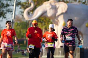 BIB: 
                            <button type="button" onclick="openModal(26189272)" class="btn btn-primary btn-sm float-right btn-popup" data-toggle="modal" data-target=".modal-high-quality">
                        <i class="fas fa-shopping-cart"></i> Add to Cart
                    </button>
                                            <button type="button" onclick="isThisMe(26189272, true)" class="btn btn-success btn-sm float-right btn-popup btn-isme hidden" data-toggle="tooltip" data-placement="bottom" title="นี่คือรูปของคุณใช่ไหม คลิกที่นี่เพื่อเอาเข้าอัลบั้ม">
                        <i class="fas fa-plus"></i> Add to album
                    </button>
                    <button type="button" onclick="isThisMe(26189272, false)" class="btn btn-warning btn-sm float-right btn-popup btn-isnotme hidden">
                        <i class="fas fa-ban"></i> Remove from album
                    </button>