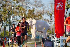 BIB: 
                            <button type="button" onclick="openModal(26188140)" class="btn btn-primary btn-sm float-right btn-popup" data-toggle="modal" data-target=".modal-high-quality">
                        <i class="fas fa-shopping-cart"></i> Add to Cart
                    </button>
                                            <button type="button" onclick="isThisMe(26188140, true)" class="btn btn-success btn-sm float-right btn-popup btn-isme hidden" data-toggle="tooltip" data-placement="bottom" title="นี่คือรูปของคุณใช่ไหม คลิกที่นี่เพื่อเอาเข้าอัลบั้ม">
                        <i class="fas fa-plus"></i> Add to album
                    </button>
                    <button type="button" onclick="isThisMe(26188140, false)" class="btn btn-warning btn-sm float-right btn-popup btn-isnotme hidden">
                        <i class="fas fa-ban"></i> Remove from album
                    </button>