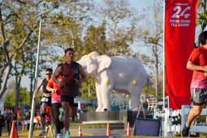 BIB: 
                            <button type="button" onclick="openModal(26188139)" class="btn btn-primary btn-sm float-right btn-popup" data-toggle="modal" data-target=".modal-high-quality">
                        <i class="fas fa-shopping-cart"></i> Add to Cart
                    </button>
                                            <button type="button" onclick="isThisMe(26188139, true)" class="btn btn-success btn-sm float-right btn-popup btn-isme hidden" data-toggle="tooltip" data-placement="bottom" title="นี่คือรูปของคุณใช่ไหม คลิกที่นี่เพื่อเอาเข้าอัลบั้ม">
                        <i class="fas fa-plus"></i> Add to album
                    </button>
                    <button type="button" onclick="isThisMe(26188139, false)" class="btn btn-warning btn-sm float-right btn-popup btn-isnotme hidden">
                        <i class="fas fa-ban"></i> Remove from album
                    </button>