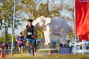 BIB: 
                            <button type="button" onclick="openModal(26188241)" class="btn btn-primary btn-sm float-right btn-popup" data-toggle="modal" data-target=".modal-high-quality">
                        <i class="fas fa-shopping-cart"></i> Add to Cart
                    </button>
                                            <button type="button" onclick="isThisMe(26188241, true)" class="btn btn-success btn-sm float-right btn-popup btn-isme hidden" data-toggle="tooltip" data-placement="bottom" title="นี่คือรูปของคุณใช่ไหม คลิกที่นี่เพื่อเอาเข้าอัลบั้ม">
                        <i class="fas fa-plus"></i> Add to album
                    </button>
                    <button type="button" onclick="isThisMe(26188241, false)" class="btn btn-warning btn-sm float-right btn-popup btn-isnotme hidden">
                        <i class="fas fa-ban"></i> Remove from album
                    </button>