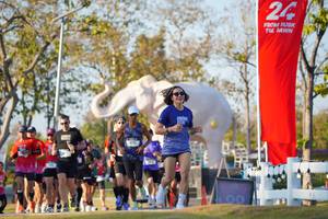 BIB: 
                            <button type="button" onclick="openModal(26188587)" class="btn btn-primary btn-sm float-right btn-popup" data-toggle="modal" data-target=".modal-high-quality">
                        <i class="fas fa-shopping-cart"></i> Add to Cart
                    </button>
                                            <button type="button" onclick="isThisMe(26188587, true)" class="btn btn-success btn-sm float-right btn-popup btn-isme hidden" data-toggle="tooltip" data-placement="bottom" title="นี่คือรูปของคุณใช่ไหม คลิกที่นี่เพื่อเอาเข้าอัลบั้ม">
                        <i class="fas fa-plus"></i> Add to album
                    </button>
                    <button type="button" onclick="isThisMe(26188587, false)" class="btn btn-warning btn-sm float-right btn-popup btn-isnotme hidden">
                        <i class="fas fa-ban"></i> Remove from album
                    </button>