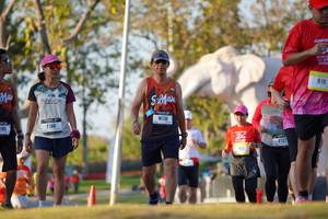 BIB: 
                            <button type="button" onclick="openModal(26189120)" class="btn btn-primary btn-sm float-right btn-popup" data-toggle="modal" data-target=".modal-high-quality">
                        <i class="fas fa-shopping-cart"></i> Add to Cart
                    </button>
                                            <button type="button" onclick="isThisMe(26189120, true)" class="btn btn-success btn-sm float-right btn-popup btn-isme hidden" data-toggle="tooltip" data-placement="bottom" title="นี่คือรูปของคุณใช่ไหม คลิกที่นี่เพื่อเอาเข้าอัลบั้ม">
                        <i class="fas fa-plus"></i> Add to album
                    </button>
                    <button type="button" onclick="isThisMe(26189120, false)" class="btn btn-warning btn-sm float-right btn-popup btn-isnotme hidden">
                        <i class="fas fa-ban"></i> Remove from album
                    </button>