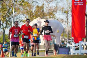 BIB: 
                            <button type="button" onclick="openModal(26188692)" class="btn btn-primary btn-sm float-right btn-popup" data-toggle="modal" data-target=".modal-high-quality">
                        <i class="fas fa-shopping-cart"></i> Add to Cart
                    </button>
                                            <button type="button" onclick="isThisMe(26188692, true)" class="btn btn-success btn-sm float-right btn-popup btn-isme hidden" data-toggle="tooltip" data-placement="bottom" title="นี่คือรูปของคุณใช่ไหม คลิกที่นี่เพื่อเอาเข้าอัลบั้ม">
                        <i class="fas fa-plus"></i> Add to album
                    </button>
                    <button type="button" onclick="isThisMe(26188692, false)" class="btn btn-warning btn-sm float-right btn-popup btn-isnotme hidden">
                        <i class="fas fa-ban"></i> Remove from album
                    </button>