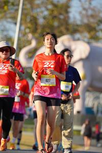 BIB: 
                            <button type="button" onclick="openModal(26188016)" class="btn btn-primary btn-sm float-right btn-popup" data-toggle="modal" data-target=".modal-high-quality">
                        <i class="fas fa-shopping-cart"></i> Add to Cart
                    </button>
                                            <button type="button" onclick="isThisMe(26188016, true)" class="btn btn-success btn-sm float-right btn-popup btn-isme hidden" data-toggle="tooltip" data-placement="bottom" title="นี่คือรูปของคุณใช่ไหม คลิกที่นี่เพื่อเอาเข้าอัลบั้ม">
                        <i class="fas fa-plus"></i> Add to album
                    </button>
                    <button type="button" onclick="isThisMe(26188016, false)" class="btn btn-warning btn-sm float-right btn-popup btn-isnotme hidden">
                        <i class="fas fa-ban"></i> Remove from album
                    </button>