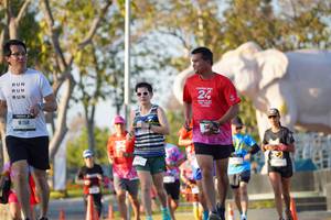 BIB: 
                            <button type="button" onclick="openModal(26188712)" class="btn btn-primary btn-sm float-right btn-popup" data-toggle="modal" data-target=".modal-high-quality">
                        <i class="fas fa-shopping-cart"></i> Add to Cart
                    </button>
                                            <button type="button" onclick="isThisMe(26188712, true)" class="btn btn-success btn-sm float-right btn-popup btn-isme hidden" data-toggle="tooltip" data-placement="bottom" title="นี่คือรูปของคุณใช่ไหม คลิกที่นี่เพื่อเอาเข้าอัลบั้ม">
                        <i class="fas fa-plus"></i> Add to album
                    </button>
                    <button type="button" onclick="isThisMe(26188712, false)" class="btn btn-warning btn-sm float-right btn-popup btn-isnotme hidden">
                        <i class="fas fa-ban"></i> Remove from album
                    </button>