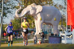 BIB: 
                            <button type="button" onclick="openModal(26188466)" class="btn btn-primary btn-sm float-right btn-popup" data-toggle="modal" data-target=".modal-high-quality">
                        <i class="fas fa-shopping-cart"></i> Add to Cart
                    </button>
                                            <button type="button" onclick="isThisMe(26188466, true)" class="btn btn-success btn-sm float-right btn-popup btn-isme hidden" data-toggle="tooltip" data-placement="bottom" title="นี่คือรูปของคุณใช่ไหม คลิกที่นี่เพื่อเอาเข้าอัลบั้ม">
                        <i class="fas fa-plus"></i> Add to album
                    </button>
                    <button type="button" onclick="isThisMe(26188466, false)" class="btn btn-warning btn-sm float-right btn-popup btn-isnotme hidden">
                        <i class="fas fa-ban"></i> Remove from album
                    </button>