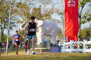 BIB: 
                            <button type="button" onclick="openModal(26188244)" class="btn btn-primary btn-sm float-right btn-popup" data-toggle="modal" data-target=".modal-high-quality">
                        <i class="fas fa-shopping-cart"></i> Add to Cart
                    </button>
                                            <button type="button" onclick="isThisMe(26188244, true)" class="btn btn-success btn-sm float-right btn-popup btn-isme hidden" data-toggle="tooltip" data-placement="bottom" title="นี่คือรูปของคุณใช่ไหม คลิกที่นี่เพื่อเอาเข้าอัลบั้ม">
                        <i class="fas fa-plus"></i> Add to album
                    </button>
                    <button type="button" onclick="isThisMe(26188244, false)" class="btn btn-warning btn-sm float-right btn-popup btn-isnotme hidden">
                        <i class="fas fa-ban"></i> Remove from album
                    </button>