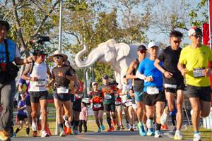 BIB: 
                            <button type="button" onclick="openModal(26187602)" class="btn btn-primary btn-sm float-right btn-popup" data-toggle="modal" data-target=".modal-high-quality">
                        <i class="fas fa-shopping-cart"></i> Add to Cart
                    </button>
                                            <button type="button" onclick="isThisMe(26187602, true)" class="btn btn-success btn-sm float-right btn-popup btn-isme hidden" data-toggle="tooltip" data-placement="bottom" title="นี่คือรูปของคุณใช่ไหม คลิกที่นี่เพื่อเอาเข้าอัลบั้ม">
                        <i class="fas fa-plus"></i> Add to album
                    </button>
                    <button type="button" onclick="isThisMe(26187602, false)" class="btn btn-warning btn-sm float-right btn-popup btn-isnotme hidden">
                        <i class="fas fa-ban"></i> Remove from album
                    </button>