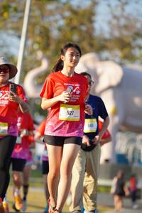 BIB: 
                            <button type="button" onclick="openModal(26188019)" class="btn btn-primary btn-sm float-right btn-popup" data-toggle="modal" data-target=".modal-high-quality">
                        <i class="fas fa-shopping-cart"></i> Add to Cart
                    </button>
                                            <button type="button" onclick="isThisMe(26188019, true)" class="btn btn-success btn-sm float-right btn-popup btn-isme hidden" data-toggle="tooltip" data-placement="bottom" title="นี่คือรูปของคุณใช่ไหม คลิกที่นี่เพื่อเอาเข้าอัลบั้ม">
                        <i class="fas fa-plus"></i> Add to album
                    </button>
                    <button type="button" onclick="isThisMe(26188019, false)" class="btn btn-warning btn-sm float-right btn-popup btn-isnotme hidden">
                        <i class="fas fa-ban"></i> Remove from album
                    </button>