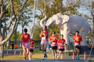 BIB: 
                            <button type="button" onclick="openModal(26189300)" class="btn btn-primary btn-sm float-right btn-popup" data-toggle="modal" data-target=".modal-high-quality">
                        <i class="fas fa-shopping-cart"></i> Add to Cart
                    </button>
                                            <button type="button" onclick="isThisMe(26189300, true)" class="btn btn-success btn-sm float-right btn-popup btn-isme hidden" data-toggle="tooltip" data-placement="bottom" title="นี่คือรูปของคุณใช่ไหม คลิกที่นี่เพื่อเอาเข้าอัลบั้ม">
                        <i class="fas fa-plus"></i> Add to album
                    </button>
                    <button type="button" onclick="isThisMe(26189300, false)" class="btn btn-warning btn-sm float-right btn-popup btn-isnotme hidden">
                        <i class="fas fa-ban"></i> Remove from album
                    </button>