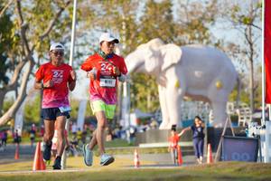 BIB: 
                            <button type="button" onclick="openModal(26188390)" class="btn btn-primary btn-sm float-right btn-popup" data-toggle="modal" data-target=".modal-high-quality">
                        <i class="fas fa-shopping-cart"></i> Add to Cart
                    </button>
                                            <button type="button" onclick="isThisMe(26188390, true)" class="btn btn-success btn-sm float-right btn-popup btn-isme hidden" data-toggle="tooltip" data-placement="bottom" title="นี่คือรูปของคุณใช่ไหม คลิกที่นี่เพื่อเอาเข้าอัลบั้ม">
                        <i class="fas fa-plus"></i> Add to album
                    </button>
                    <button type="button" onclick="isThisMe(26188390, false)" class="btn btn-warning btn-sm float-right btn-popup btn-isnotme hidden">
                        <i class="fas fa-ban"></i> Remove from album
                    </button>