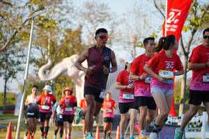 BIB: 
                            <button type="button" onclick="openModal(26189339)" class="btn btn-primary btn-sm float-right btn-popup" data-toggle="modal" data-target=".modal-high-quality">
                        <i class="fas fa-shopping-cart"></i> Add to Cart
                    </button>
                                            <button type="button" onclick="isThisMe(26189339, true)" class="btn btn-success btn-sm float-right btn-popup btn-isme hidden" data-toggle="tooltip" data-placement="bottom" title="นี่คือรูปของคุณใช่ไหม คลิกที่นี่เพื่อเอาเข้าอัลบั้ม">
                        <i class="fas fa-plus"></i> Add to album
                    </button>
                    <button type="button" onclick="isThisMe(26189339, false)" class="btn btn-warning btn-sm float-right btn-popup btn-isnotme hidden">
                        <i class="fas fa-ban"></i> Remove from album
                    </button>