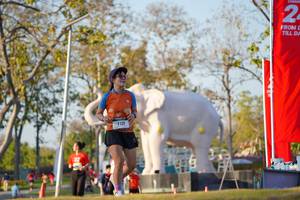 BIB: 
                            <button type="button" onclick="openModal(26189194)" class="btn btn-primary btn-sm float-right btn-popup" data-toggle="modal" data-target=".modal-high-quality">
                        <i class="fas fa-shopping-cart"></i> Add to Cart
                    </button>
                                            <button type="button" onclick="isThisMe(26189194, true)" class="btn btn-success btn-sm float-right btn-popup btn-isme hidden" data-toggle="tooltip" data-placement="bottom" title="นี่คือรูปของคุณใช่ไหม คลิกที่นี่เพื่อเอาเข้าอัลบั้ม">
                        <i class="fas fa-plus"></i> Add to album
                    </button>
                    <button type="button" onclick="isThisMe(26189194, false)" class="btn btn-warning btn-sm float-right btn-popup btn-isnotme hidden">
                        <i class="fas fa-ban"></i> Remove from album
                    </button>