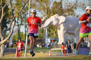 BIB: 
                            <button type="button" onclick="openModal(26188393)" class="btn btn-primary btn-sm float-right btn-popup" data-toggle="modal" data-target=".modal-high-quality">
                        <i class="fas fa-shopping-cart"></i> Add to Cart
                    </button>
                                            <button type="button" onclick="isThisMe(26188393, true)" class="btn btn-success btn-sm float-right btn-popup btn-isme hidden" data-toggle="tooltip" data-placement="bottom" title="นี่คือรูปของคุณใช่ไหม คลิกที่นี่เพื่อเอาเข้าอัลบั้ม">
                        <i class="fas fa-plus"></i> Add to album
                    </button>
                    <button type="button" onclick="isThisMe(26188393, false)" class="btn btn-warning btn-sm float-right btn-popup btn-isnotme hidden">
                        <i class="fas fa-ban"></i> Remove from album
                    </button>