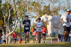 BIB: 
                            <button type="button" onclick="openModal(26188669)" class="btn btn-primary btn-sm float-right btn-popup" data-toggle="modal" data-target=".modal-high-quality">
                        <i class="fas fa-shopping-cart"></i> Add to Cart
                    </button>
                                            <button type="button" onclick="isThisMe(26188669, true)" class="btn btn-success btn-sm float-right btn-popup btn-isme hidden" data-toggle="tooltip" data-placement="bottom" title="นี่คือรูปของคุณใช่ไหม คลิกที่นี่เพื่อเอาเข้าอัลบั้ม">
                        <i class="fas fa-plus"></i> Add to album
                    </button>
                    <button type="button" onclick="isThisMe(26188669, false)" class="btn btn-warning btn-sm float-right btn-popup btn-isnotme hidden">
                        <i class="fas fa-ban"></i> Remove from album
                    </button>