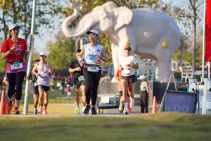 BIB: 
                            <button type="button" onclick="openModal(26188534)" class="btn btn-primary btn-sm float-right btn-popup" data-toggle="modal" data-target=".modal-high-quality">
                        <i class="fas fa-shopping-cart"></i> Add to Cart
                    </button>
                                            <button type="button" onclick="isThisMe(26188534, true)" class="btn btn-success btn-sm float-right btn-popup btn-isme hidden" data-toggle="tooltip" data-placement="bottom" title="นี่คือรูปของคุณใช่ไหม คลิกที่นี่เพื่อเอาเข้าอัลบั้ม">
                        <i class="fas fa-plus"></i> Add to album
                    </button>
                    <button type="button" onclick="isThisMe(26188534, false)" class="btn btn-warning btn-sm float-right btn-popup btn-isnotme hidden">
                        <i class="fas fa-ban"></i> Remove from album
                    </button>