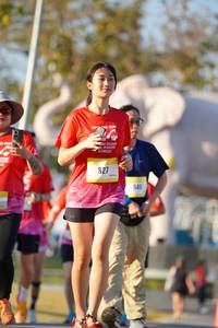 BIB: 
                            <button type="button" onclick="openModal(26188018)" class="btn btn-primary btn-sm float-right btn-popup" data-toggle="modal" data-target=".modal-high-quality">
                        <i class="fas fa-shopping-cart"></i> Add to Cart
                    </button>
                                            <button type="button" onclick="isThisMe(26188018, true)" class="btn btn-success btn-sm float-right btn-popup btn-isme hidden" data-toggle="tooltip" data-placement="bottom" title="นี่คือรูปของคุณใช่ไหม คลิกที่นี่เพื่อเอาเข้าอัลบั้ม">
                        <i class="fas fa-plus"></i> Add to album
                    </button>
                    <button type="button" onclick="isThisMe(26188018, false)" class="btn btn-warning btn-sm float-right btn-popup btn-isnotme hidden">
                        <i class="fas fa-ban"></i> Remove from album
                    </button>