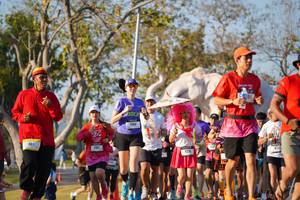 BIB: 
                            <button type="button" onclick="openModal(26187638)" class="btn btn-primary btn-sm float-right btn-popup" data-toggle="modal" data-target=".modal-high-quality">
                        <i class="fas fa-shopping-cart"></i> Add to Cart
                    </button>
                                            <button type="button" onclick="isThisMe(26187638, true)" class="btn btn-success btn-sm float-right btn-popup btn-isme hidden" data-toggle="tooltip" data-placement="bottom" title="นี่คือรูปของคุณใช่ไหม คลิกที่นี่เพื่อเอาเข้าอัลบั้ม">
                        <i class="fas fa-plus"></i> Add to album
                    </button>
                    <button type="button" onclick="isThisMe(26187638, false)" class="btn btn-warning btn-sm float-right btn-popup btn-isnotme hidden">
                        <i class="fas fa-ban"></i> Remove from album
                    </button>