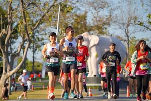 BIB: 
                            <button type="button" onclick="openModal(26187940)" class="btn btn-primary btn-sm float-right btn-popup" data-toggle="modal" data-target=".modal-high-quality">
                        <i class="fas fa-shopping-cart"></i> Add to Cart
                    </button>
                                            <button type="button" onclick="isThisMe(26187940, true)" class="btn btn-success btn-sm float-right btn-popup btn-isme hidden" data-toggle="tooltip" data-placement="bottom" title="นี่คือรูปของคุณใช่ไหม คลิกที่นี่เพื่อเอาเข้าอัลบั้ม">
                        <i class="fas fa-plus"></i> Add to album
                    </button>
                    <button type="button" onclick="isThisMe(26187940, false)" class="btn btn-warning btn-sm float-right btn-popup btn-isnotme hidden">
                        <i class="fas fa-ban"></i> Remove from album
                    </button>