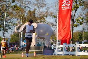 BIB: 
                            <button type="button" onclick="openModal(26188172)" class="btn btn-primary btn-sm float-right btn-popup" data-toggle="modal" data-target=".modal-high-quality">
                        <i class="fas fa-shopping-cart"></i> Add to Cart
                    </button>
                                            <button type="button" onclick="isThisMe(26188172, true)" class="btn btn-success btn-sm float-right btn-popup btn-isme hidden" data-toggle="tooltip" data-placement="bottom" title="นี่คือรูปของคุณใช่ไหม คลิกที่นี่เพื่อเอาเข้าอัลบั้ม">
                        <i class="fas fa-plus"></i> Add to album
                    </button>
                    <button type="button" onclick="isThisMe(26188172, false)" class="btn btn-warning btn-sm float-right btn-popup btn-isnotme hidden">
                        <i class="fas fa-ban"></i> Remove from album
                    </button>