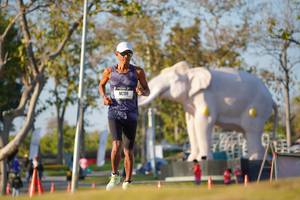 BIB: 
                            <button type="button" onclick="openModal(26188073)" class="btn btn-primary btn-sm float-right btn-popup" data-toggle="modal" data-target=".modal-high-quality">
                        <i class="fas fa-shopping-cart"></i> Add to Cart
                    </button>
                                            <button type="button" onclick="isThisMe(26188073, true)" class="btn btn-success btn-sm float-right btn-popup btn-isme hidden" data-toggle="tooltip" data-placement="bottom" title="นี่คือรูปของคุณใช่ไหม คลิกที่นี่เพื่อเอาเข้าอัลบั้ม">
                        <i class="fas fa-plus"></i> Add to album
                    </button>
                    <button type="button" onclick="isThisMe(26188073, false)" class="btn btn-warning btn-sm float-right btn-popup btn-isnotme hidden">
                        <i class="fas fa-ban"></i> Remove from album
                    </button>