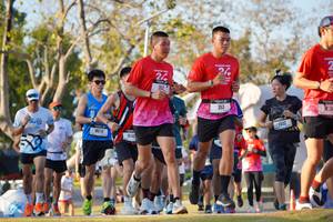 BIB: 
                            <button type="button" onclick="openModal(26188626)" class="btn btn-primary btn-sm float-right btn-popup" data-toggle="modal" data-target=".modal-high-quality">
                        <i class="fas fa-shopping-cart"></i> Add to Cart
                    </button>
                                            <button type="button" onclick="isThisMe(26188626, true)" class="btn btn-success btn-sm float-right btn-popup btn-isme hidden" data-toggle="tooltip" data-placement="bottom" title="นี่คือรูปของคุณใช่ไหม คลิกที่นี่เพื่อเอาเข้าอัลบั้ม">
                        <i class="fas fa-plus"></i> Add to album
                    </button>
                    <button type="button" onclick="isThisMe(26188626, false)" class="btn btn-warning btn-sm float-right btn-popup btn-isnotme hidden">
                        <i class="fas fa-ban"></i> Remove from album
                    </button>