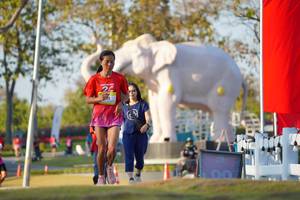 BIB: 
                            <button type="button" onclick="openModal(26188438)" class="btn btn-primary btn-sm float-right btn-popup" data-toggle="modal" data-target=".modal-high-quality">
                        <i class="fas fa-shopping-cart"></i> Add to Cart
                    </button>
                                            <button type="button" onclick="isThisMe(26188438, true)" class="btn btn-success btn-sm float-right btn-popup btn-isme hidden" data-toggle="tooltip" data-placement="bottom" title="นี่คือรูปของคุณใช่ไหม คลิกที่นี่เพื่อเอาเข้าอัลบั้ม">
                        <i class="fas fa-plus"></i> Add to album
                    </button>
                    <button type="button" onclick="isThisMe(26188438, false)" class="btn btn-warning btn-sm float-right btn-popup btn-isnotme hidden">
                        <i class="fas fa-ban"></i> Remove from album
                    </button>