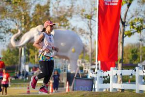 BIB: 
                            <button type="button" onclick="openModal(26188382)" class="btn btn-primary btn-sm float-right btn-popup" data-toggle="modal" data-target=".modal-high-quality">
                        <i class="fas fa-shopping-cart"></i> Add to Cart
                    </button>
                                            <button type="button" onclick="isThisMe(26188382, true)" class="btn btn-success btn-sm float-right btn-popup btn-isme hidden" data-toggle="tooltip" data-placement="bottom" title="นี่คือรูปของคุณใช่ไหม คลิกที่นี่เพื่อเอาเข้าอัลบั้ม">
                        <i class="fas fa-plus"></i> Add to album
                    </button>
                    <button type="button" onclick="isThisMe(26188382, false)" class="btn btn-warning btn-sm float-right btn-popup btn-isnotme hidden">
                        <i class="fas fa-ban"></i> Remove from album
                    </button>