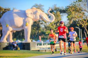 BIB: 
                            <button type="button" onclick="openModal(26183595)" class="btn btn-primary btn-sm float-right btn-popup" data-toggle="modal" data-target=".modal-high-quality">
                        <i class="fas fa-shopping-cart"></i> Add to Cart
                    </button>
                                            <button type="button" onclick="isThisMe(26183595, true)" class="btn btn-success btn-sm float-right btn-popup btn-isme hidden" data-toggle="tooltip" data-placement="bottom" title="นี่คือรูปของคุณใช่ไหม คลิกที่นี่เพื่อเอาเข้าอัลบั้ม">
                        <i class="fas fa-plus"></i> Add to album
                    </button>
                    <button type="button" onclick="isThisMe(26183595, false)" class="btn btn-warning btn-sm float-right btn-popup btn-isnotme hidden">
                        <i class="fas fa-ban"></i> Remove from album
                    </button>