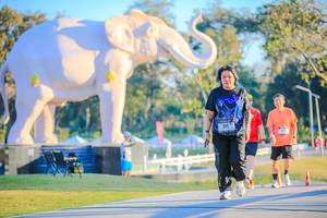 BIB: 
                            <button type="button" onclick="openModal(26183461)" class="btn btn-primary btn-sm float-right btn-popup" data-toggle="modal" data-target=".modal-high-quality">
                        <i class="fas fa-shopping-cart"></i> Add to Cart
                    </button>
                                            <button type="button" onclick="isThisMe(26183461, true)" class="btn btn-success btn-sm float-right btn-popup btn-isme hidden" data-toggle="tooltip" data-placement="bottom" title="นี่คือรูปของคุณใช่ไหม คลิกที่นี่เพื่อเอาเข้าอัลบั้ม">
                        <i class="fas fa-plus"></i> Add to album
                    </button>
                    <button type="button" onclick="isThisMe(26183461, false)" class="btn btn-warning btn-sm float-right btn-popup btn-isnotme hidden">
                        <i class="fas fa-ban"></i> Remove from album
                    </button>