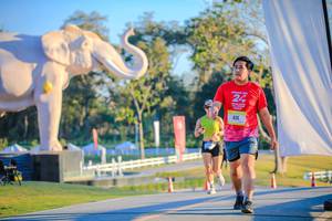 BIB: 
                            <button type="button" onclick="openModal(26183562)" class="btn btn-primary btn-sm float-right btn-popup" data-toggle="modal" data-target=".modal-high-quality">
                        <i class="fas fa-shopping-cart"></i> Add to Cart
                    </button>
                                            <button type="button" onclick="isThisMe(26183562, true)" class="btn btn-success btn-sm float-right btn-popup btn-isme hidden" data-toggle="tooltip" data-placement="bottom" title="นี่คือรูปของคุณใช่ไหม คลิกที่นี่เพื่อเอาเข้าอัลบั้ม">
                        <i class="fas fa-plus"></i> Add to album
                    </button>
                    <button type="button" onclick="isThisMe(26183562, false)" class="btn btn-warning btn-sm float-right btn-popup btn-isnotme hidden">
                        <i class="fas fa-ban"></i> Remove from album
                    </button>