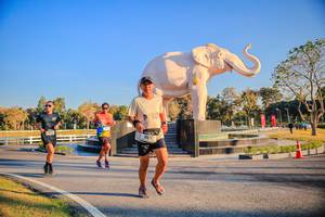 BIB: 
                            <button type="button" onclick="openModal(26186475)" class="btn btn-primary btn-sm float-right btn-popup" data-toggle="modal" data-target=".modal-high-quality">
                        <i class="fas fa-shopping-cart"></i> Add to Cart
                    </button>
                                            <button type="button" onclick="isThisMe(26186475, true)" class="btn btn-success btn-sm float-right btn-popup btn-isme hidden" data-toggle="tooltip" data-placement="bottom" title="นี่คือรูปของคุณใช่ไหม คลิกที่นี่เพื่อเอาเข้าอัลบั้ม">
                        <i class="fas fa-plus"></i> Add to album
                    </button>
                    <button type="button" onclick="isThisMe(26186475, false)" class="btn btn-warning btn-sm float-right btn-popup btn-isnotme hidden">
                        <i class="fas fa-ban"></i> Remove from album
                    </button>