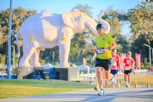 BIB: 
                            <button type="button" onclick="openModal(26183425)" class="btn btn-primary btn-sm float-right btn-popup" data-toggle="modal" data-target=".modal-high-quality">
                        <i class="fas fa-shopping-cart"></i> Add to Cart
                    </button>
                                            <button type="button" onclick="isThisMe(26183425, true)" class="btn btn-success btn-sm float-right btn-popup btn-isme hidden" data-toggle="tooltip" data-placement="bottom" title="นี่คือรูปของคุณใช่ไหม คลิกที่นี่เพื่อเอาเข้าอัลบั้ม">
                        <i class="fas fa-plus"></i> Add to album
                    </button>
                    <button type="button" onclick="isThisMe(26183425, false)" class="btn btn-warning btn-sm float-right btn-popup btn-isnotme hidden">
                        <i class="fas fa-ban"></i> Remove from album
                    </button>