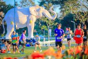 BIB: 
                            <button type="button" onclick="openModal(26184039)" class="btn btn-primary btn-sm float-right btn-popup" data-toggle="modal" data-target=".modal-high-quality">
                        <i class="fas fa-shopping-cart"></i> Add to Cart
                    </button>
                                            <button type="button" onclick="isThisMe(26184039, true)" class="btn btn-success btn-sm float-right btn-popup btn-isme hidden" data-toggle="tooltip" data-placement="bottom" title="นี่คือรูปของคุณใช่ไหม คลิกที่นี่เพื่อเอาเข้าอัลบั้ม">
                        <i class="fas fa-plus"></i> Add to album
                    </button>
                    <button type="button" onclick="isThisMe(26184039, false)" class="btn btn-warning btn-sm float-right btn-popup btn-isnotme hidden">
                        <i class="fas fa-ban"></i> Remove from album
                    </button>